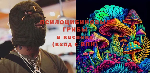 прущие грибы Инсар