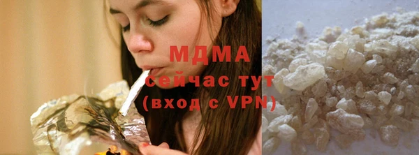 индика Киреевск