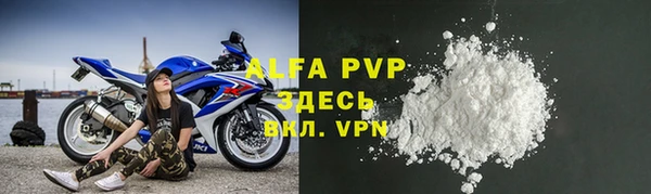 индика Киреевск