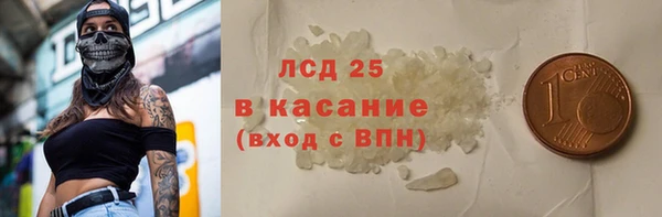 индика Киреевск