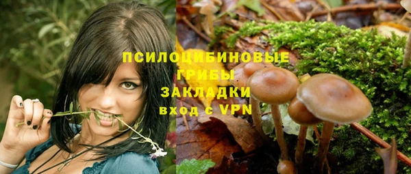 синтетический гашиш Каменногорск