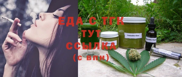 индика Киреевск